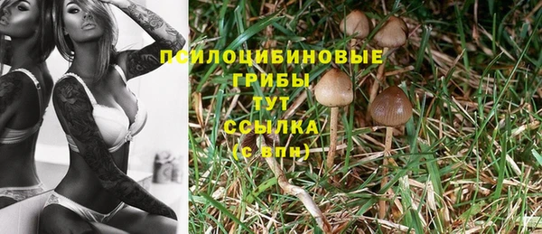 MDMA Premium VHQ Баксан