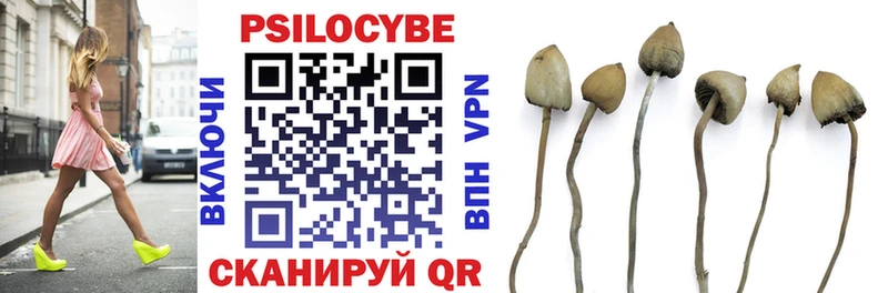 Псилоцибиновые грибы мухоморы  Спас-Клепики 